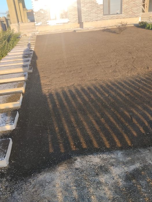 Посев газона и саженцы