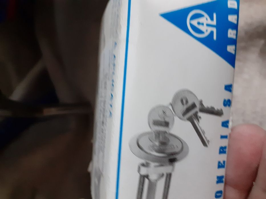 Broasca usa de intrare