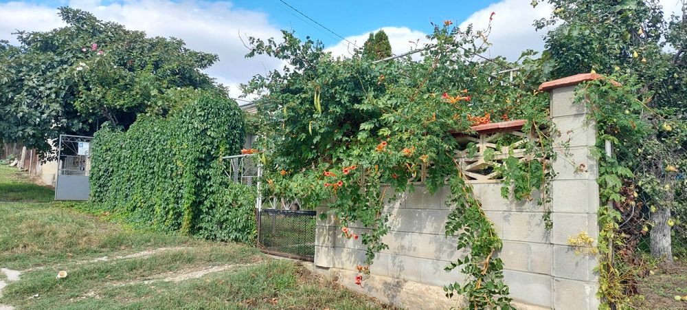 Eдноетажна еднофамилна къща