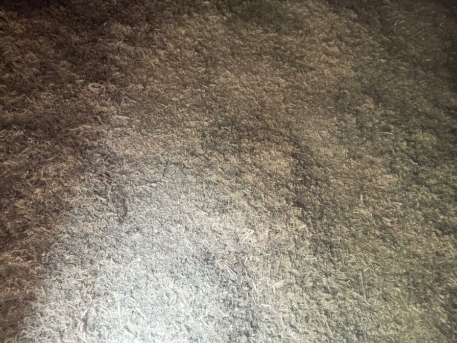 Apilka donboq tovuqlar uchun