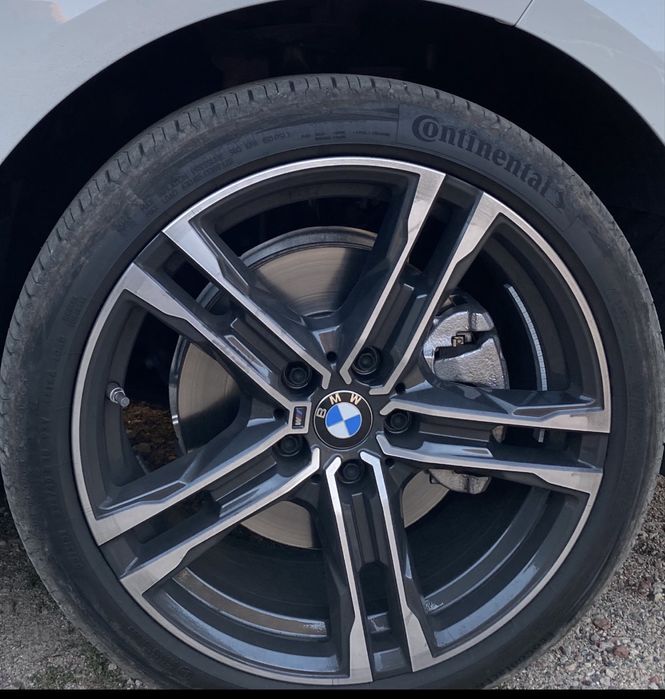 Шишы летние Continental