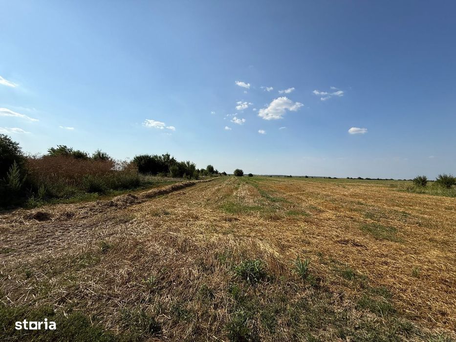 Teren Intravilan 5.000 Mp – Darza, Crevedia | 8 €/Mp | Oportunitat