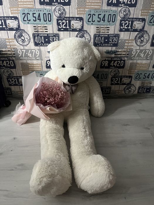 Медведь (бывший подарил)