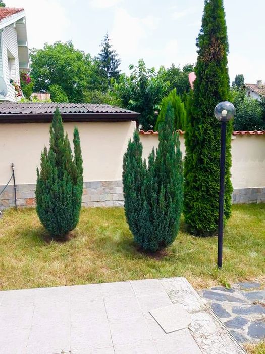 Поддръжка и косене на тревни площи