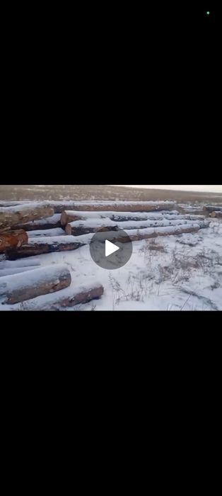 Продам лес находится в селе Талица