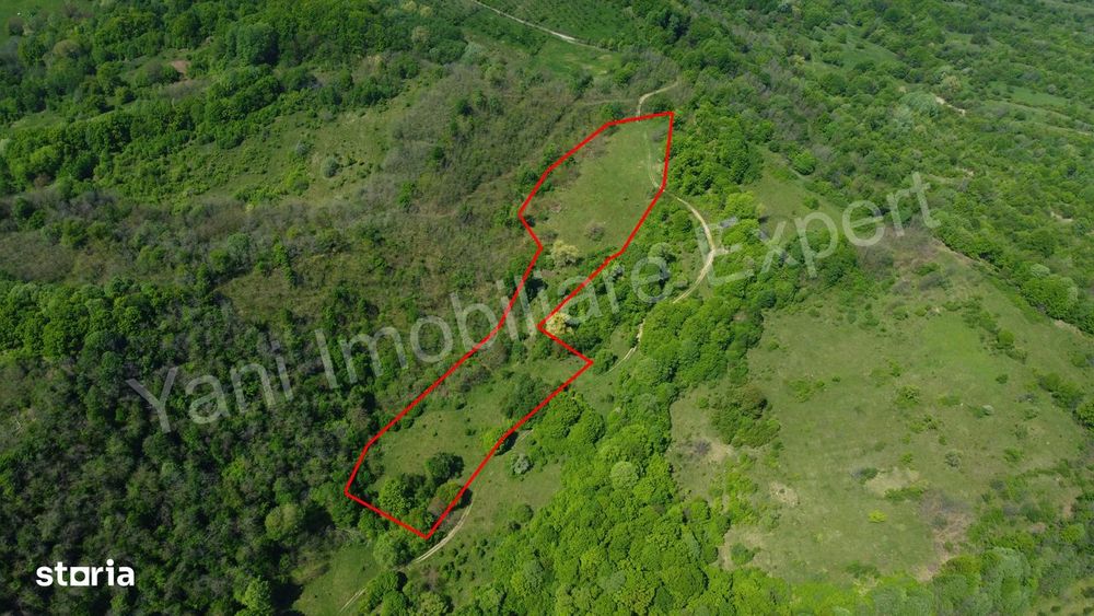 Teren 19.452 mp de vânzare în Curtea de Argeș.