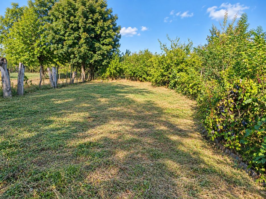 Teren 2.774 mp + casă, central Cetatea Giurgiu, deschidere 20 m
