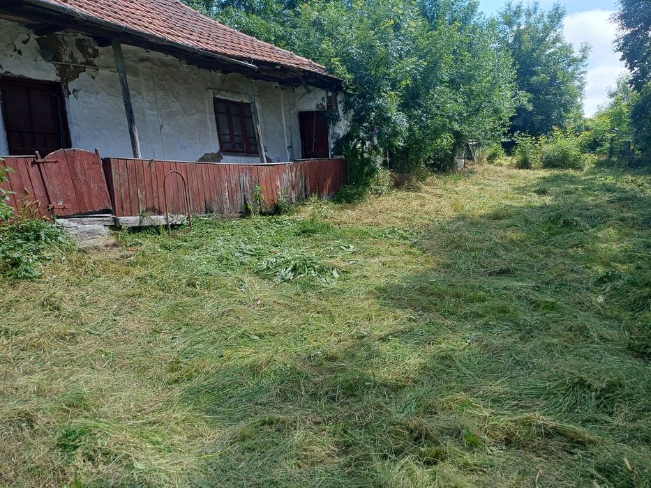 Casa batraneasca serbanesti (pomi)