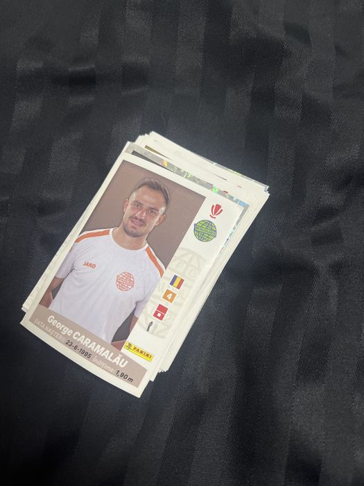 Stickere panini anunt provizoriu