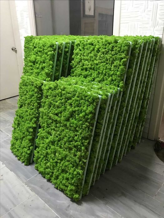 Пана и картини от скандинавски мъх , декорация от мъх , пано зелен мъх , пано с рамки или без рамка по поръчка