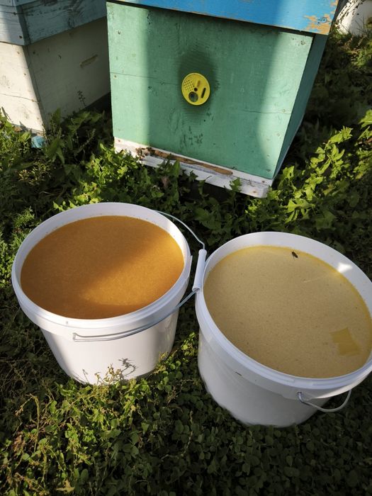 Продается натуральный мёд