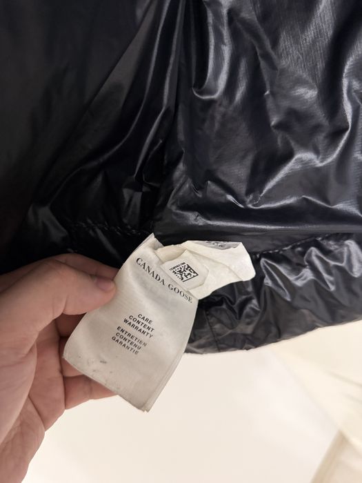 Vesta Canada Goose