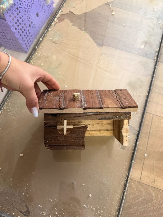 Acvariu rozatoare/ pesti / broaste testoare