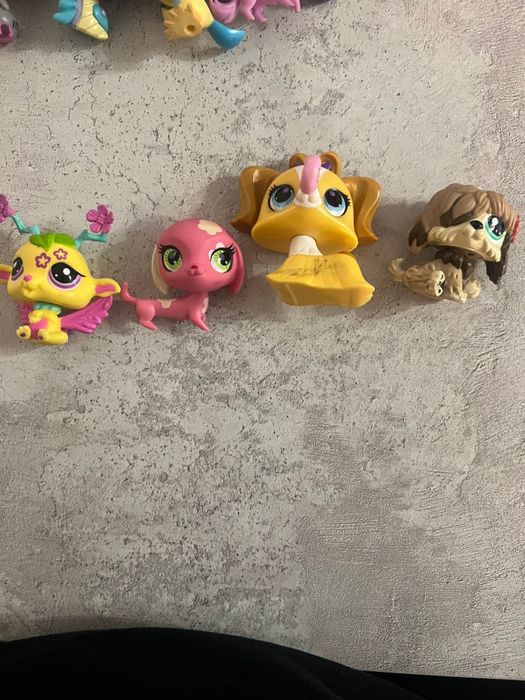 Pet shop личная коллекция