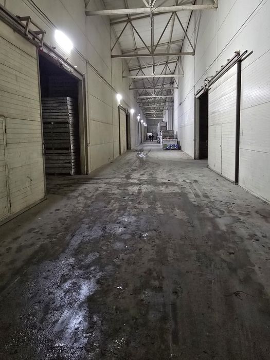 Продаётся база овоще хранилище.