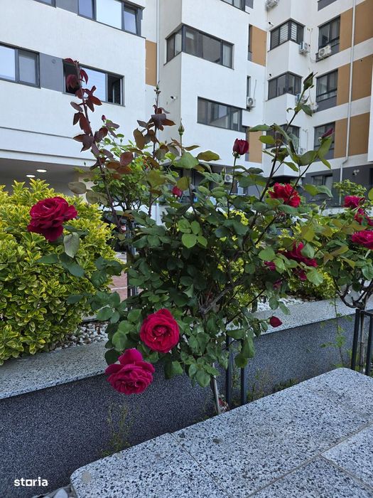 Apartament Central Adress Residence