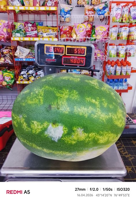 Продам готовый бизнес