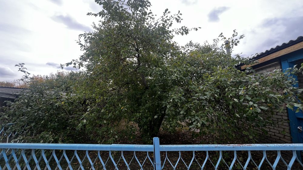 Продам дом в с.Аулиеколь