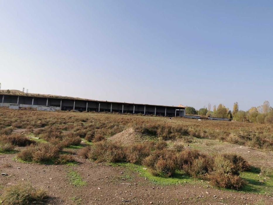 Нотурар бино 2 гектар ери билан  ижарага берилади Тошкент вил