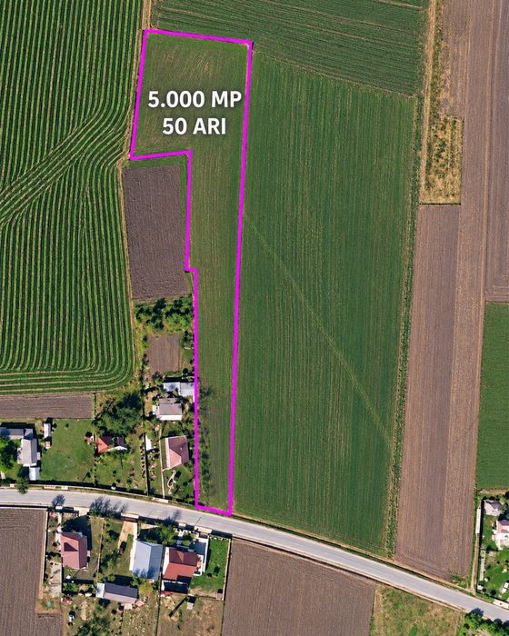 Teren intravilan 5.000 m² – utilități și acces asfaltat – Zvoriștea