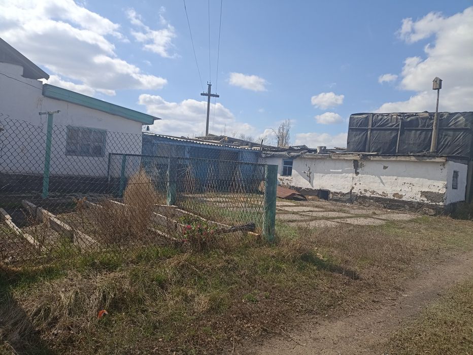 Подам дом и участок