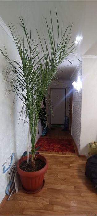 2 комнатная квартира