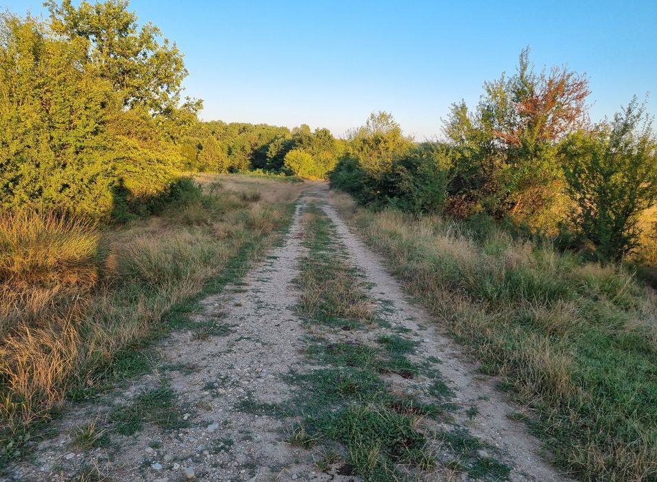 Teren pentru vanzare/ concesiune – ideal BESS / parc de stocare energie, parc fotovoltaic – 3,3 ha