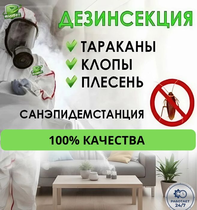 Дератизация и дезинфекция! Истребим любых вредителей клопы тараканы ос