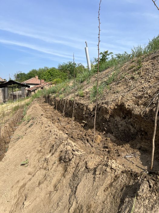 Празно дворно място