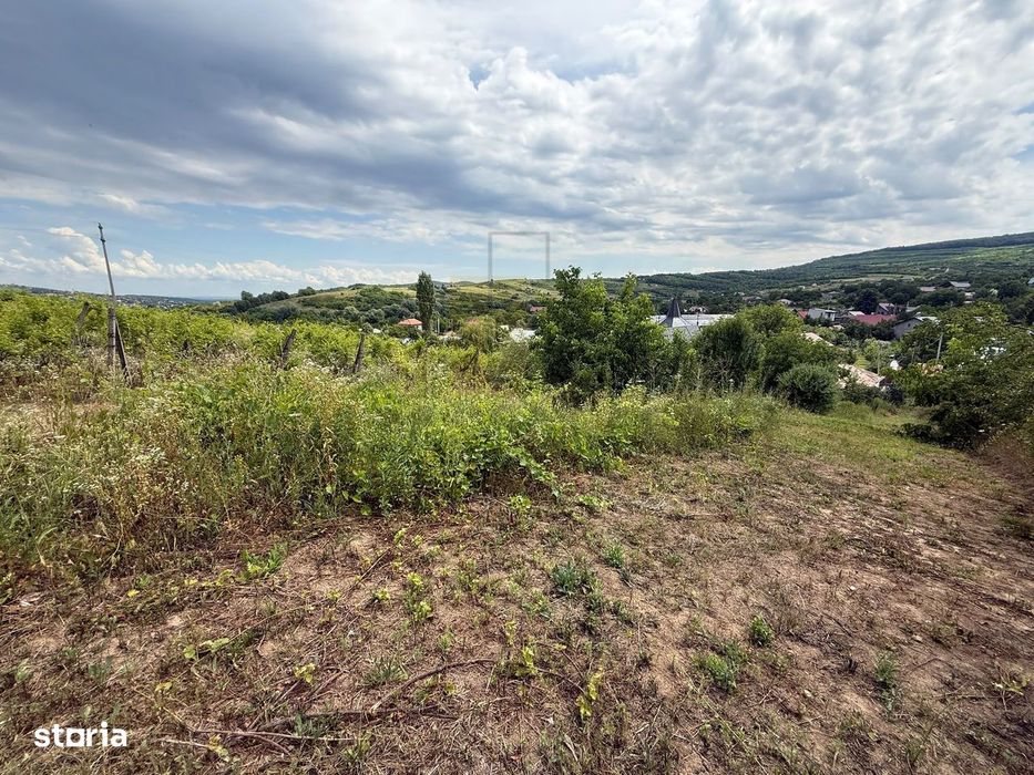 Teren in Goruni comuna Tomesti 12 km de rond Podu Ros