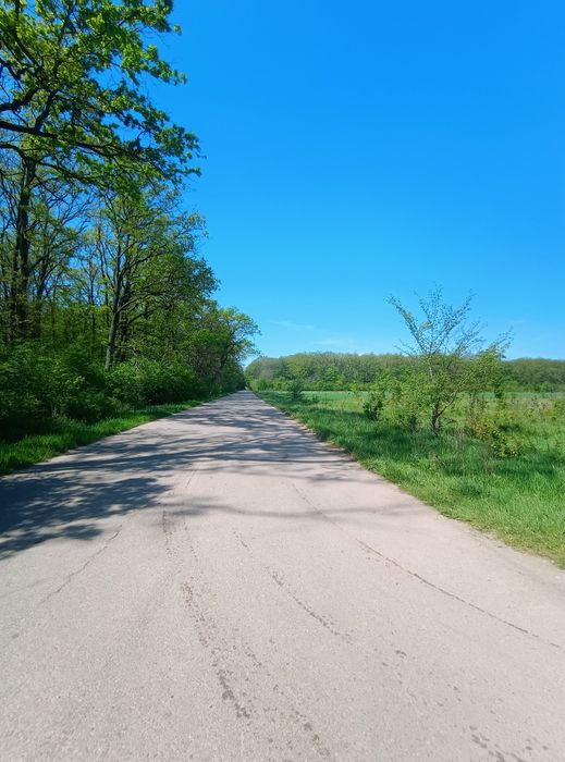 Loturi de Casă Cosoba!!!