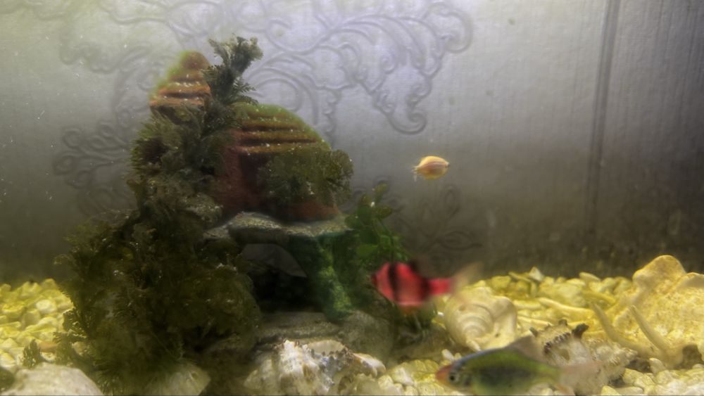 Продам аквариум