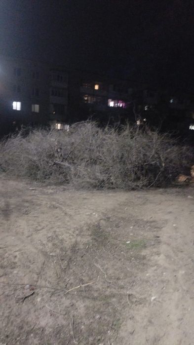 Спил деревьев на дрова