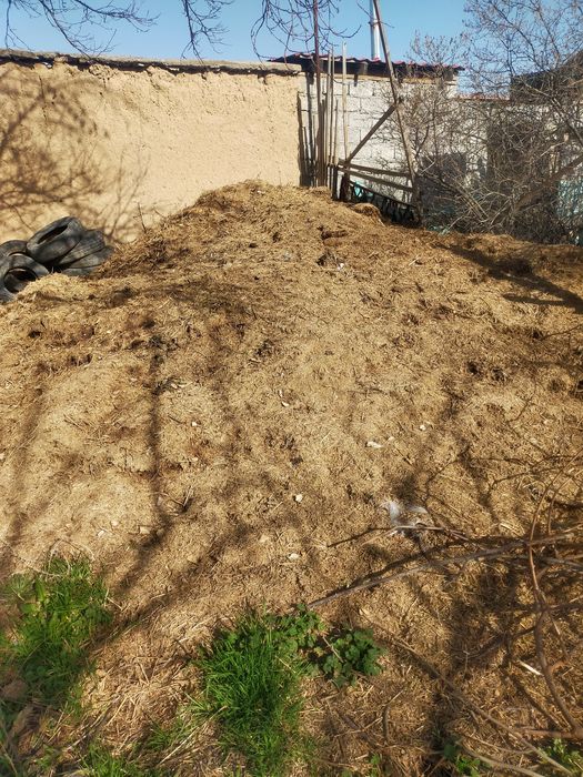 Навоз, Көң бар тегін