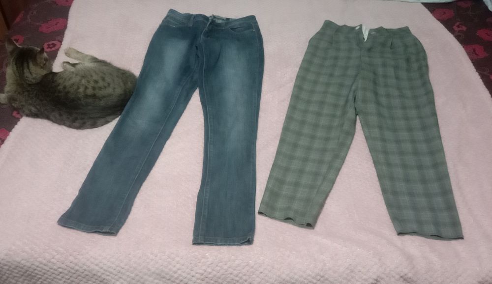 Отдам за Шоколадку Казахстан