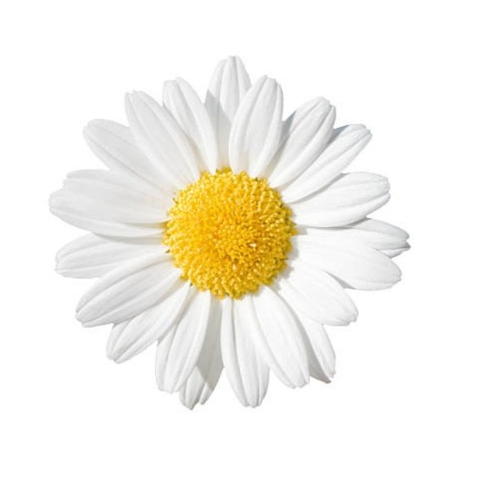 Продам Костюм и брюки