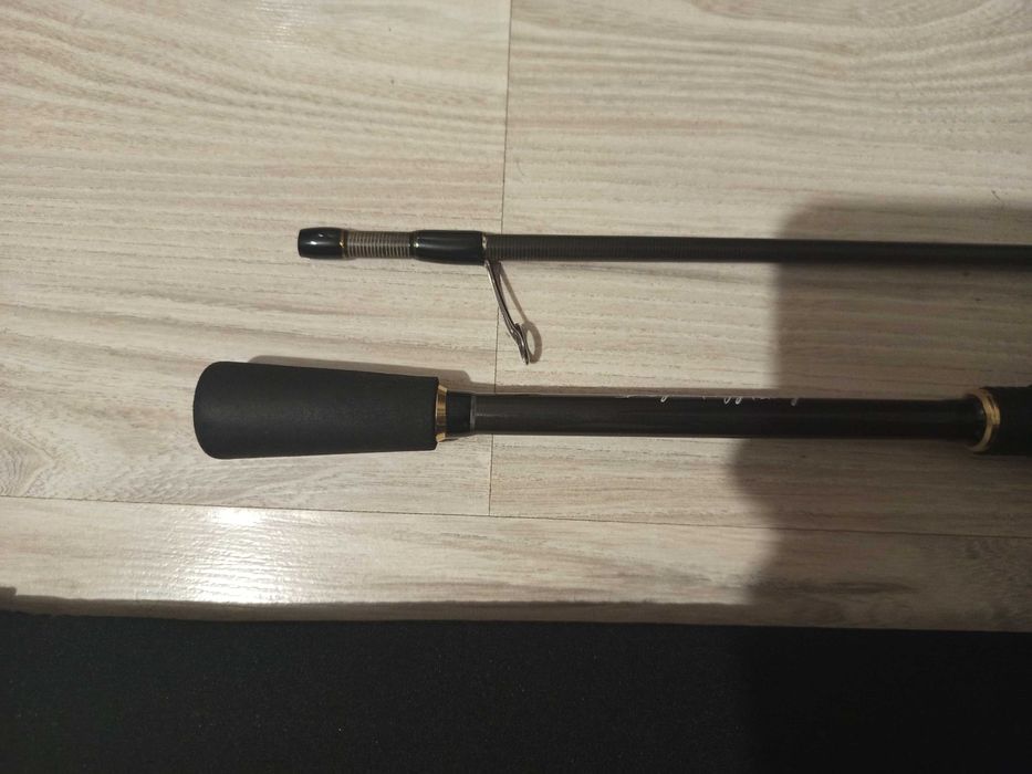 Crazy fish arion /Gad chaser/Ponton21 psychogun