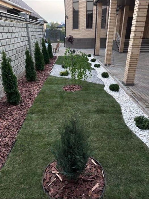 Туя Смарагд. Туя Брабант Туя шарик. Туя