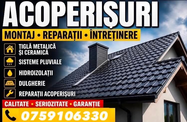 Acoperișuri Complete BILKA Montaj Rapid + Reparații Dulgherie 20%