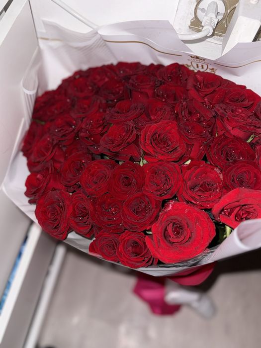 51роза солмаған новый