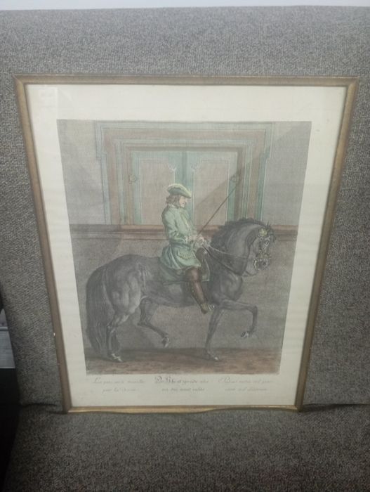 Gravura colorata veche Johann Elias Ridinger