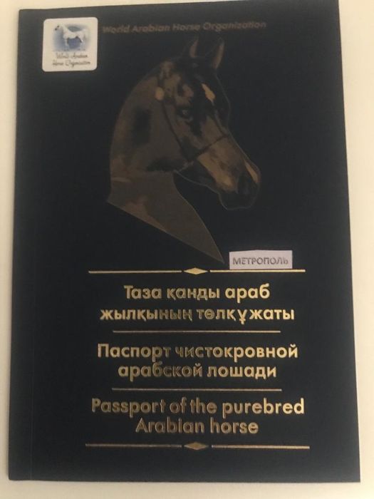 Продается Арабский  чистокровный жеребец