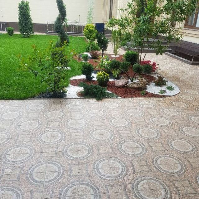 Богбон. дарахт ва кустарникларга шакл бериш Садовник
