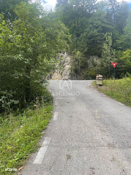 Teren Investiție Turistică Dâmbovicioara Baranga | 4.500 mp