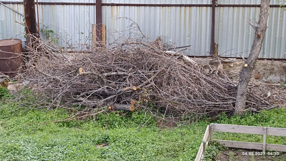 Дрова бесплатно отдам