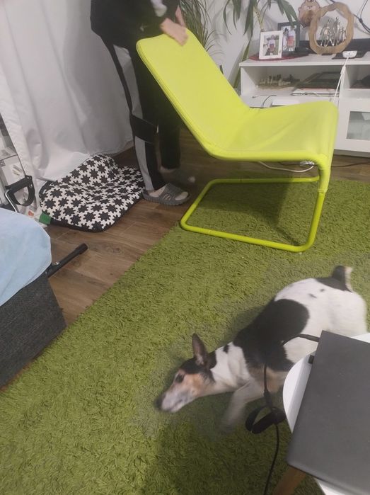 Кресло  IKEA.  LOCKSTA lounge