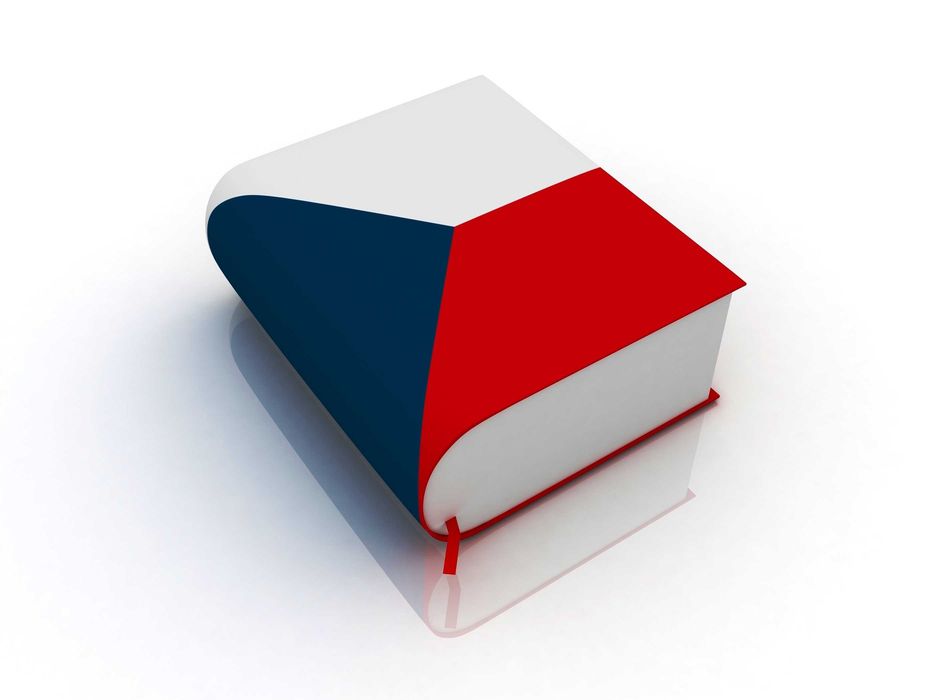 Устный и письменный перевод с/на чешский язык.