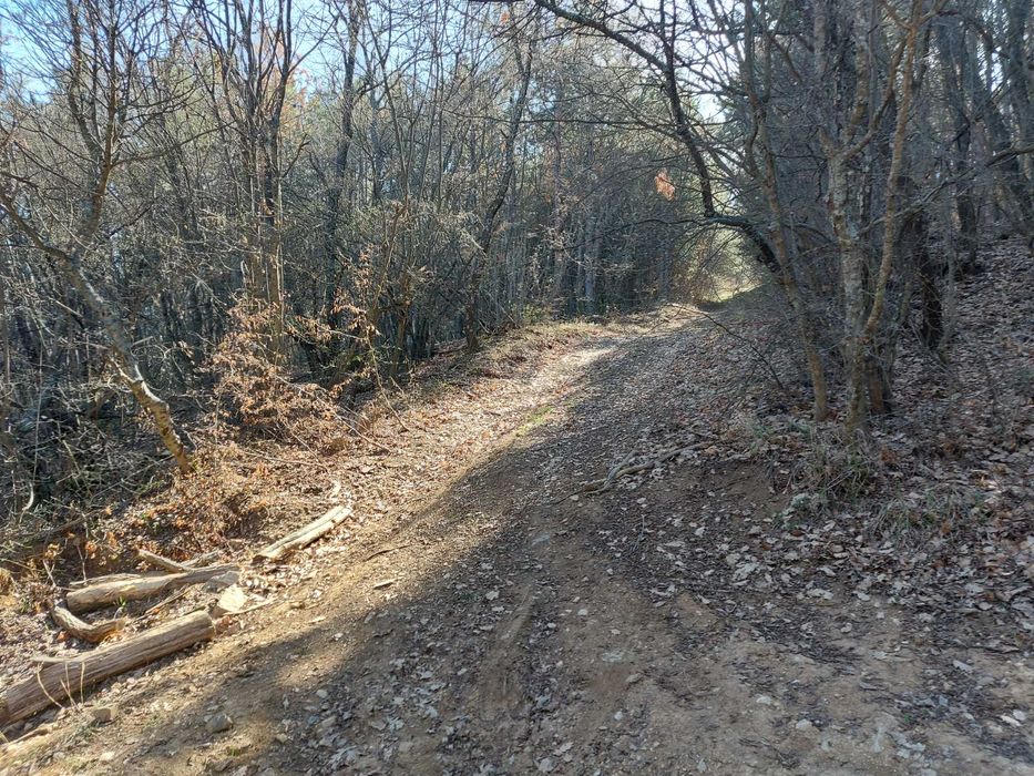 Продава се Парцел в с. Малка Верея, Област Стара Загора - 1333 кв.м за 4 €/кв.м - Снимка #16