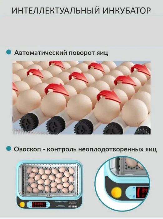 Inkubator avtamat ishlatilinishi zo'r