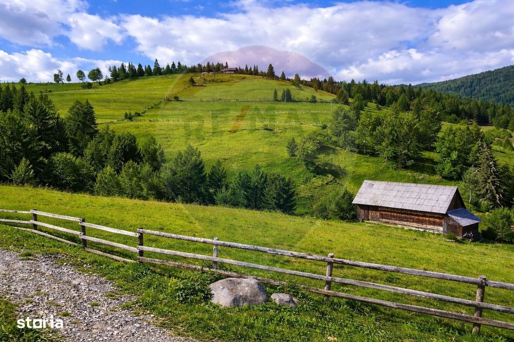 Teren de vanzare în inima Apusenilor – 6.500 mp Arieșeni